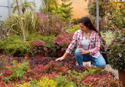 How to Create a Low-Maintenance Garden for Busy Homeowners